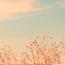 Romantic Sunset